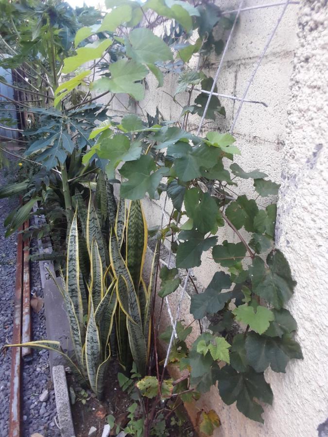 Le Tulear - Aux 4 Coins Du Monde Otel Saint Pierre Dış mekan fotoğraf